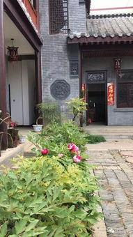 我家的小院优秀作文