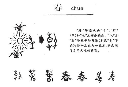 春天组词造句一年级，春天组词拼音