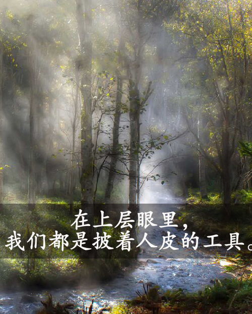 深耕可以形容学习吗