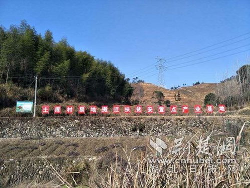 土库在戌还是在辰