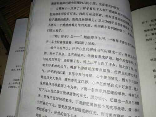 骆驼祥子第六章批注简书，骆驼祥子第六章批注笔记