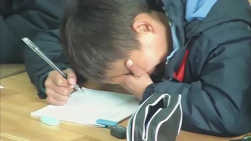 变形记作文400字免费，变形记作文400字变成小鸟