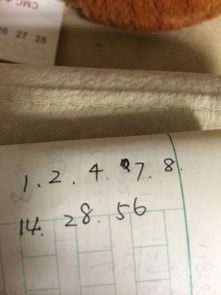 56的因数有哪些是质数，56的因数有几个分别是多少