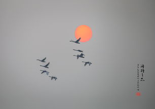 鸿鹄怎么读