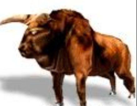 犀的拼音怎么读，屡的拼音在电脑上怎么打