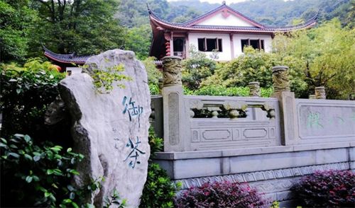 密云龙武夷岩茶，密云龙涛检测场