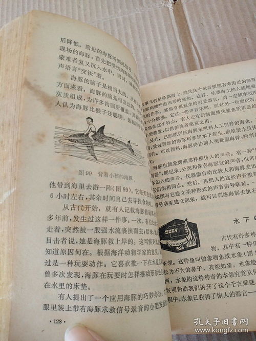 启示2玛雅帝国，启示