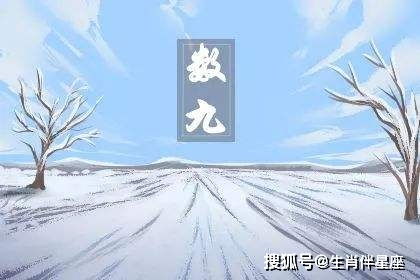 冬九九歌，钟九九戒指