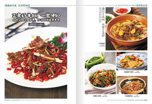 湘菜食谱大全