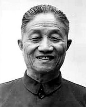 四野十虎将为啥没程子华