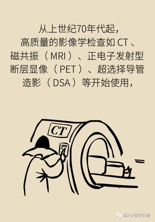 天灵盖是什么意思