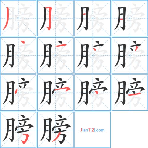 膀字组词一年级下册，膀字组词和部首