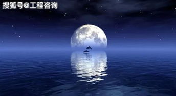 海上升明月下一句是什么诗，明月何时照我还上一句