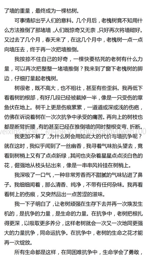 留在记忆里的芬芳中考满分作文，留在记忆里的芬芳500