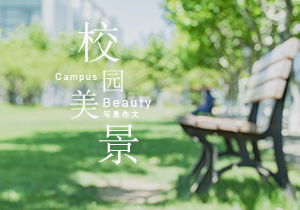 校园春景作文500字左右，校园春景作文600字初中
