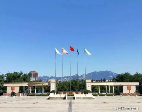 山财东方学院是几本