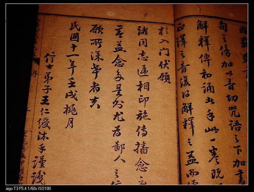 大悲经译文