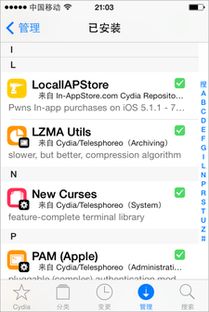 localiapstore13怎么内购，localiapstore替换