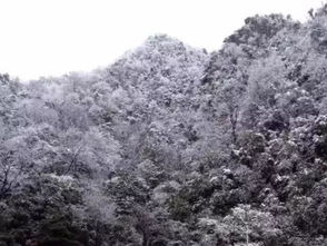 雪海 电视剧，雪海电视剧全集免费观看