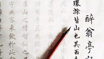 求索是什么意思?