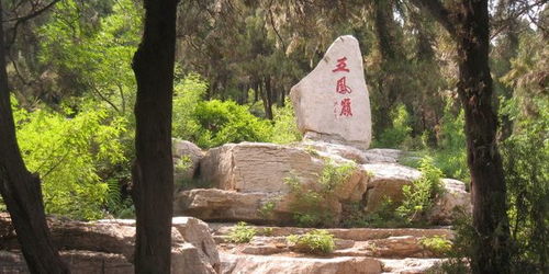 腊山国家森林公园免费开放时间，东平腊山国家森林公园