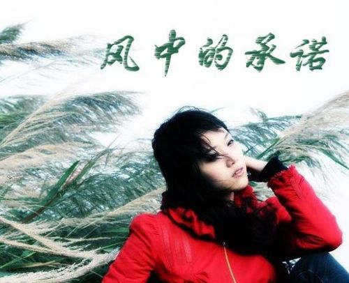 你的承诺歌词意思，你的承诺歌词什么意思