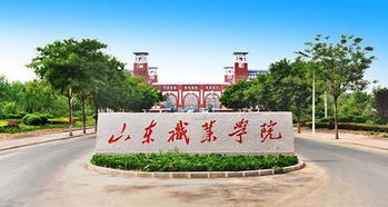 山东外贸职业学院排名