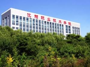 沈阳技师学院是大专吗