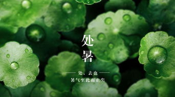 二十四节气处暑读音，处暑读音读二声还是三声