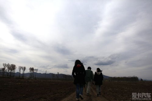 高旅客运集团，高旅客运服务招人是真是假