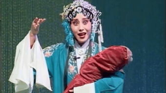 范静是什么职业