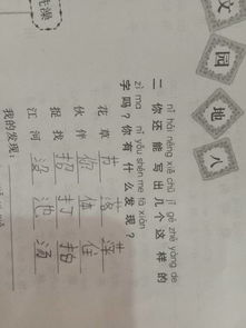 抓组词有哪些呢