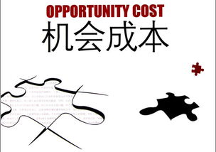 机会成本的例子有哪些，机会成本的例子数字