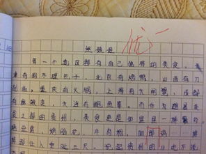 家乡美食作文500字5篇