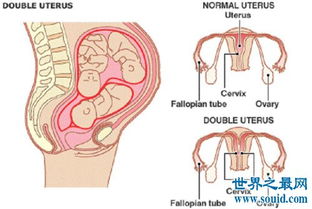 阴的意思和含义是什么，阴郁的意思