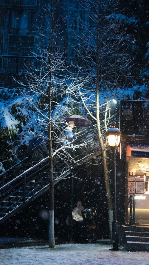 风花雪月是什么意思
