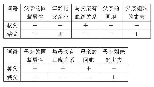法组词语和拼音，法组词组