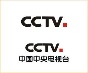 CCTV是什么意思?