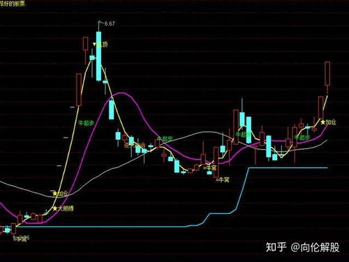 k线图快速入门视频，k线图新手入门教程