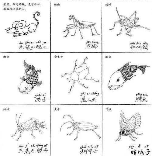 杂的拼音部首组词