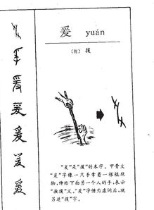 爰字的拼音怎么写的，爰的拼音和意思