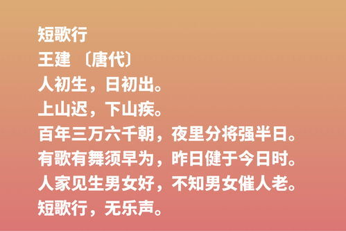 感恩议论文600字，感恩议论文700字