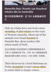 参加用英语怎么说
