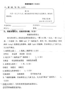 二年级试卷语文，二年级试卷自己打印下册数学