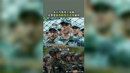 神犬奇兵主题曲云淡风轻歌词，神犬奇兵主题曲开头曲