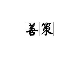 善策中的善是什么意思，善什么意思?