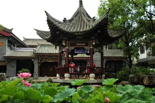 酉阳桃花源导游词 来看看具体的