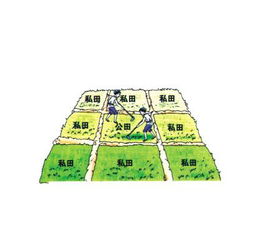 井田制瓦解的原因和影响