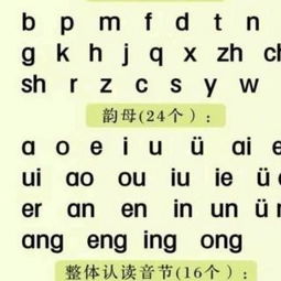 晨的拼音字母怎么写的呀，晨的拼音怎么拼读