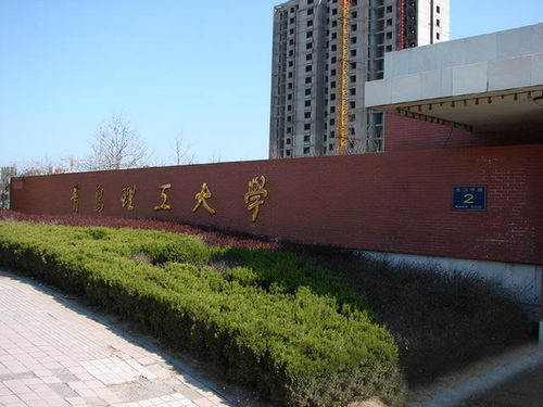 青岛理工大学王牌专业排名